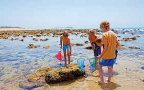 Bei Ebbe suchen die Kinder in den Felsbecken nach Krabben und Muscheln - Foto: Ingo Wandmacher